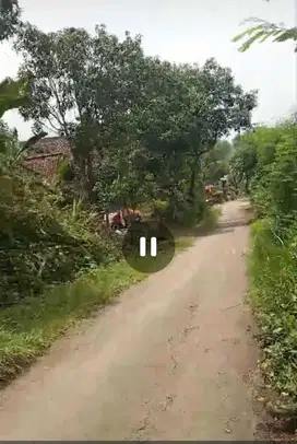 Dijual tanah murah Bareng, Jombang