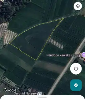 Jual sawah pertanian aktif, subur, SHM, Seyegan, Sleman