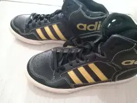 Sepatu adidas gold original