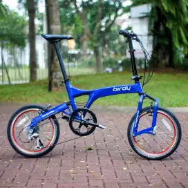 Birdy Gen 2 Capreo with SRAM Dual Drive II