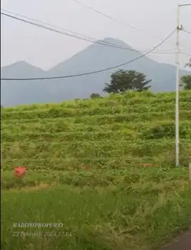LAHAN  WISATA PACET SHM VIEW 2 GUNUNG