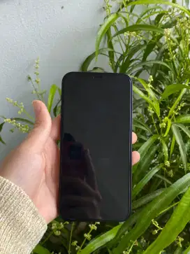 Iphone 12 128GB