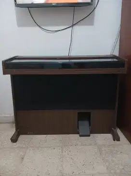 Piano Yamaha CNR-50