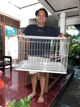 New Sak Josse KandanG KucinG Galvanis Nyaa