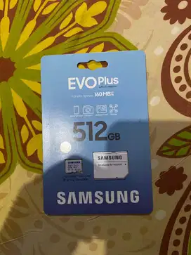 MEMORI SAMSUNG EVO PLUS 512GB 160MB