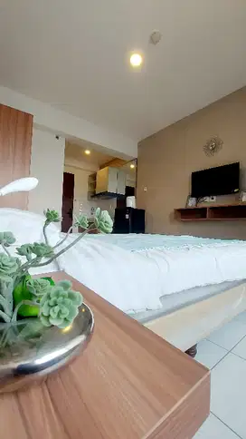 apartement siap huni dan sewa! (damar)