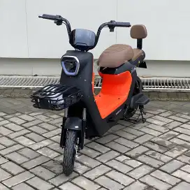 Sepeda listrik exotic x-630