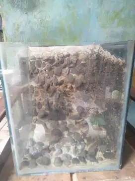 Jual aquarium ikan
