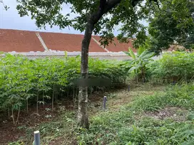 Dijual Tanah Jl. Gerogol Seberang