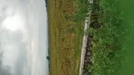 Jual tanah murah  Bagus untuk  usaha bengkel ,rumah hunian  kolam ikan