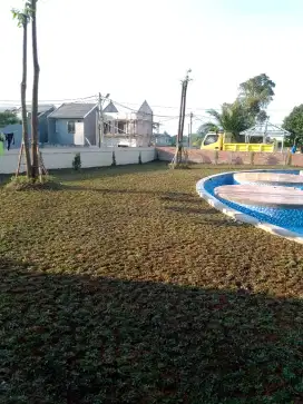 Jasa pembuatan taman