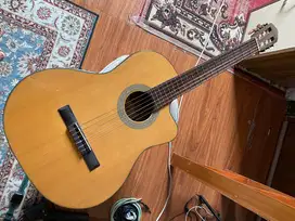 cort nylon akustik elektrik