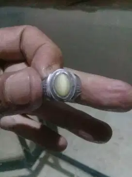 Cincin cat eyes mata  kucing siap pakai.
