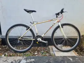 Diamondback topanga