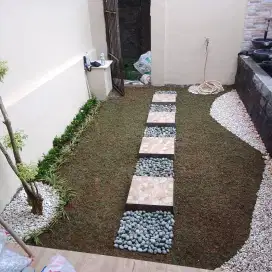 Jasa tukang taman pasang rumput