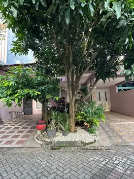 Rumah Permata Jingga