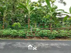 Tanah Rata Siap Bangun Area Perumahan Pekuncen Sendangmulyo
