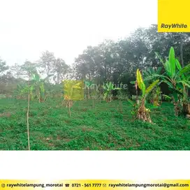 tanah 3.974 m2 tj bintang lampung selatan