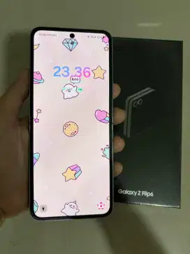 Samsung Galaxy Z Flip 6