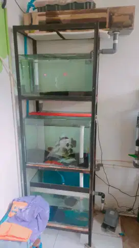 Akuarium 3 tingkat