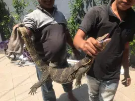 TUKANG PIPA MAMPET KAKA TIMUR TAMPA BONGKAR BERGARANSI JABODETABEK