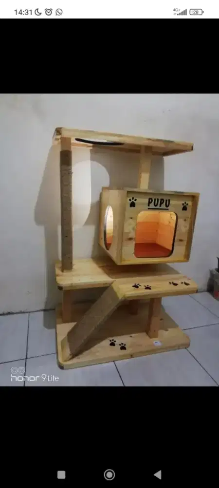 Cat condo atau rumah rumahan