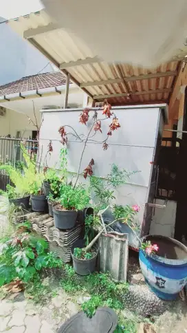 Jual rombong ukuran 2,5x05m
