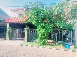 Obral murah rmh baratajaya ngagel pucang gubeng bratang tengah kota