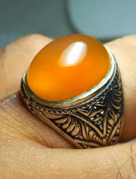 Raflesia Bengkulu Orange