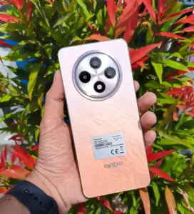 OPPO RENO 12F 4G