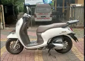 Scoopy Prestige 2023