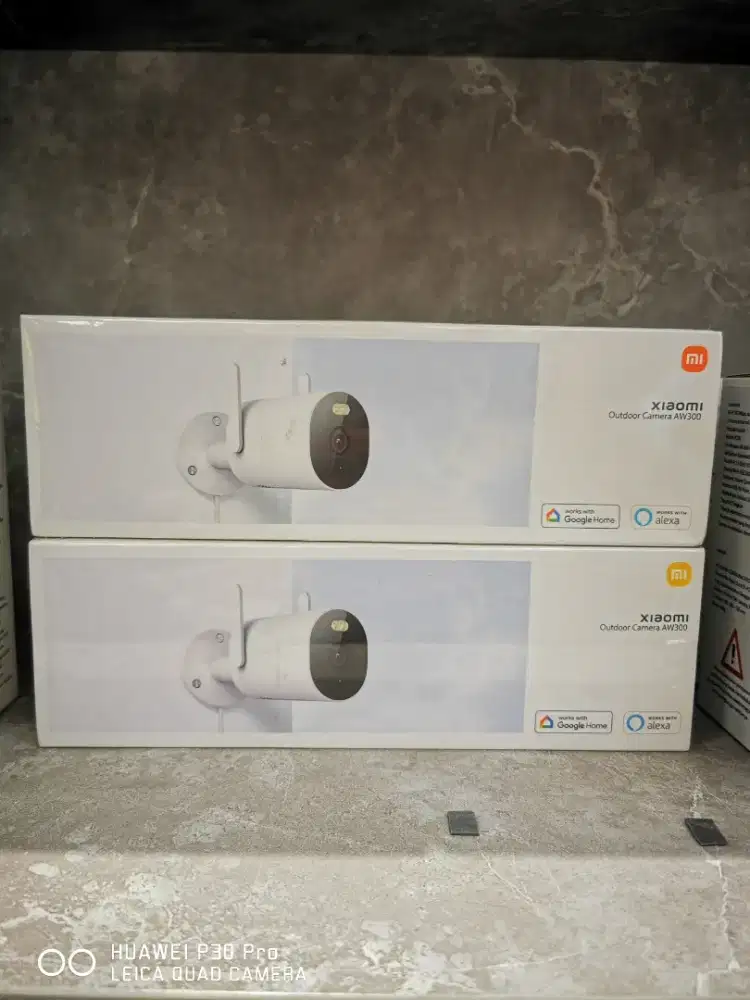 Xiaomi Camera Outdoor AW300