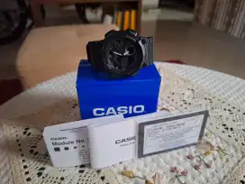Casio AEQ 110 W 1BVDF