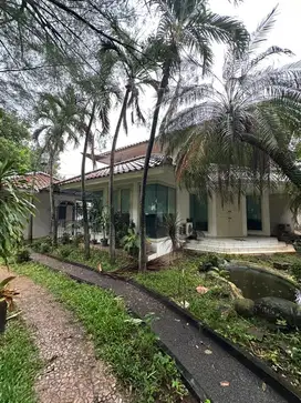 DISEWAKAN RUMAH ASRI LUAS 865m2 ( swimming pool )