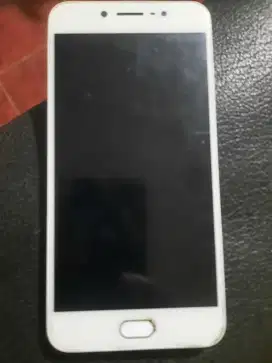 Vivo y 67 mulus