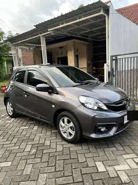 BRIO E SATYA CKD