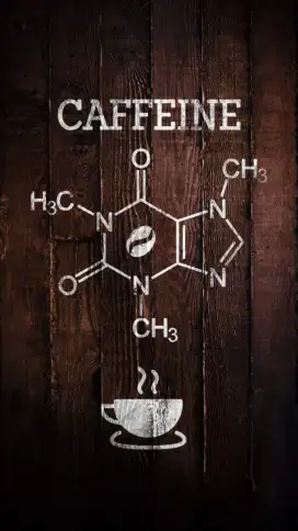Di butuhkan Barista dan Cook berpengalaman
