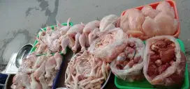 Bondles Ayam fresh