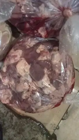 ati ampela ayam
