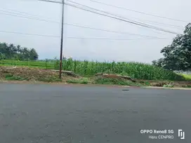 Tanah sawah jln raya Karanganyar Bobotsari Purbalingga