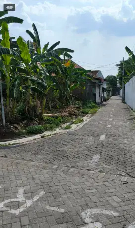 Sebidang tanah shm dekat graha padma