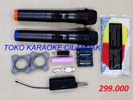 MICROPHONE WIRELESS SIMPLE 2MIC