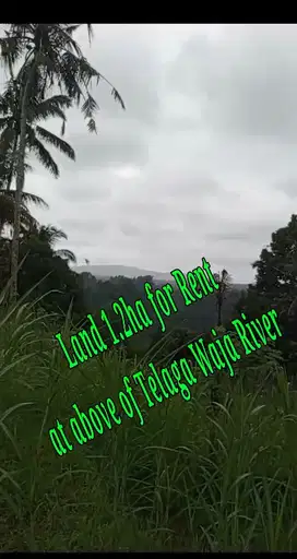 Land for Rent above Telaga Waja River Karangasem Bali