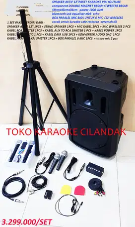speaker karaoke aktif 12in