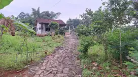 Dijual tanah bonus rumah, dikelilingi perumahan, dekat lab. unsoed