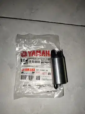 Rotak dinamo jupiter z1