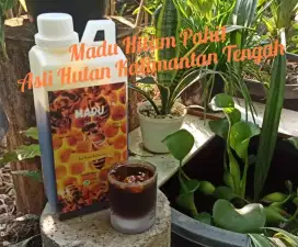 Madu Hitam Pahit dari Kalimantan | Kemasan 500gr