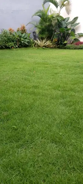 Tukang rumput lempengan