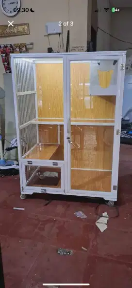 Kandang kucing bogor