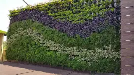 Taman vertical garden